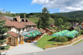 Hotel STARÝ MLÝN, Jesenik